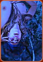 Diana Image